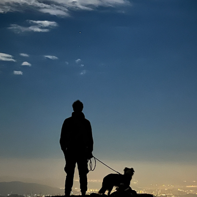 Yann Vaillant's avatar