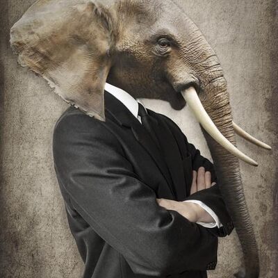 Mastodon Admin's avatar