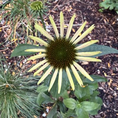 Harbormaster (Admin)'s avatar